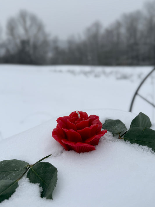 Pure Beeswax Candle - Rose Bloom