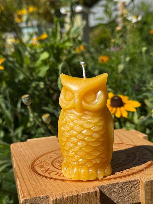 Pure Beeswax Candle (Owl)